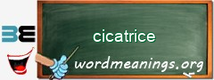 WordMeaning blackboard for cicatrice